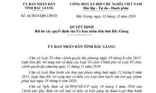 UBND tỉnh Bắc Giang bãi bỏ quy định miễn, giảm tiền thuê đất đối với một số lĩnh vực 